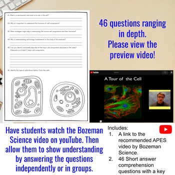 A Tour Of The Cell Comprehensive Worksheet Bozeman Science TPT