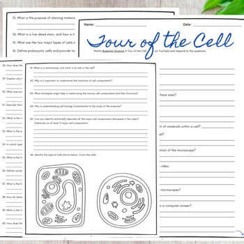 A Tour Of The Cell Comprehensive Worksheet Bozeman Science TPT