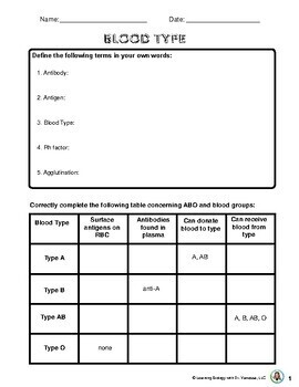 ABO Blood Group Worksheet ABO Blood Types Rh Factor Blood Typing
