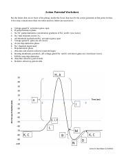 Action Potential Worksheets