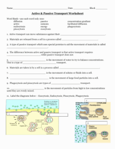 Active And Passive Transport Worksheet Lovely Video Guide For Bozeman