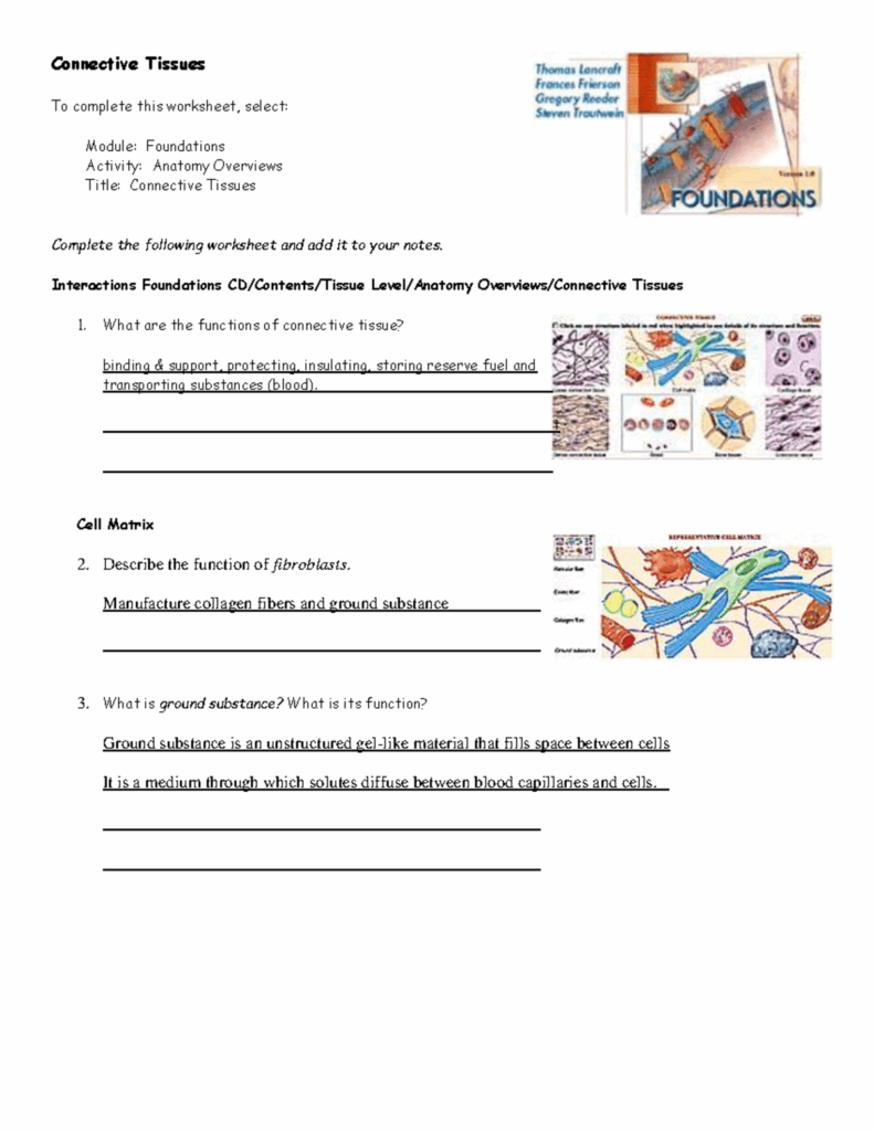 Activity Sheets Connective Tissues pdf Connective Tissues To 