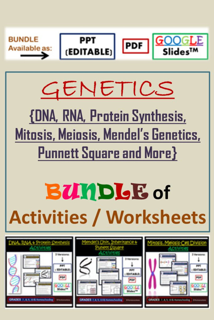 Advances In Genetics Worksheet