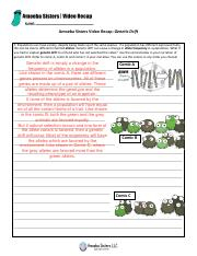 Ameoba Sisters Genetic Drift Worksheet pdf Amoeba Sisters Video Recap 