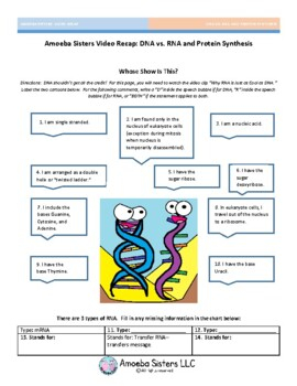 Amoeba Sisters Dna Chromosomes Worksheet
