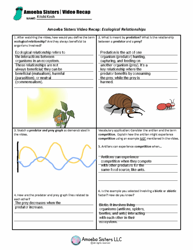 Amoeba Sisters Ecological Relationships Amoeba Sisters Video Recap