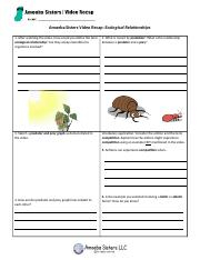 Amoeba Sisters Ecological Relationships Worksheet