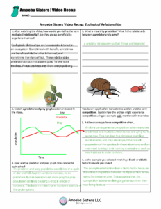 Amoeba Sisters Ecological Relationships Worksheet Worksheets