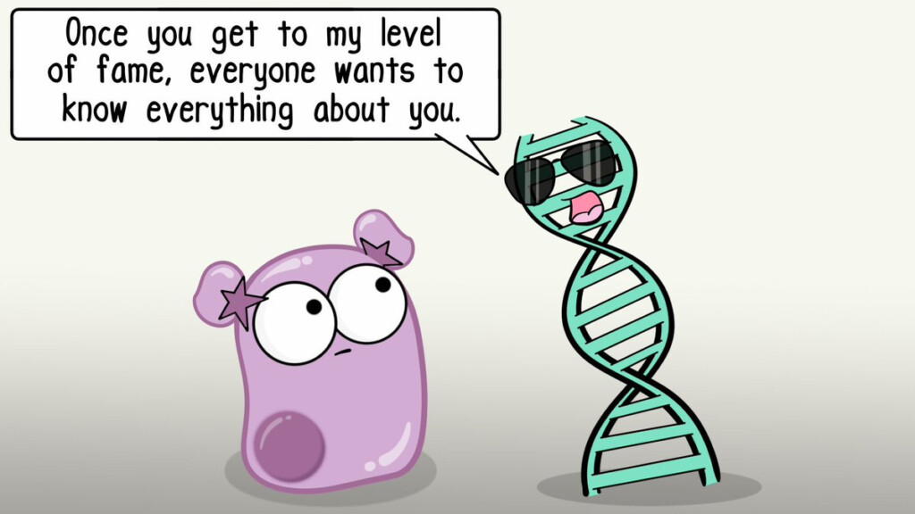 Amoeba Sisters Genetic Engineering Worksheet