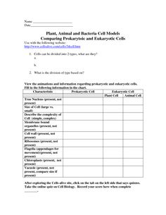 Amoeba Sisters Monohybrid Worksheet Answers 32 Chromosomes And 