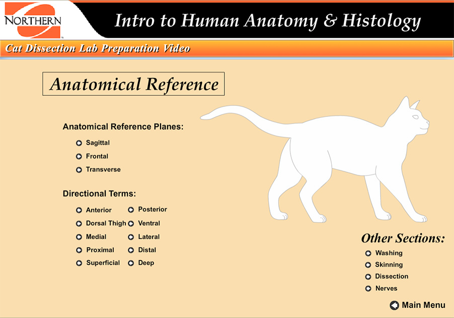 An Interactive Cat Dissection Lab Preparation Guide Worksheets Library