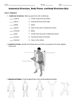 Anatomical Directions Planes And Body Regions Test By Melissa Horton