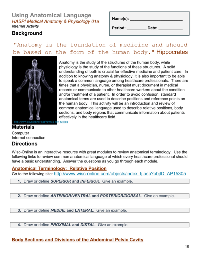 Anatomical Language Worksheet Anatomy Physiology