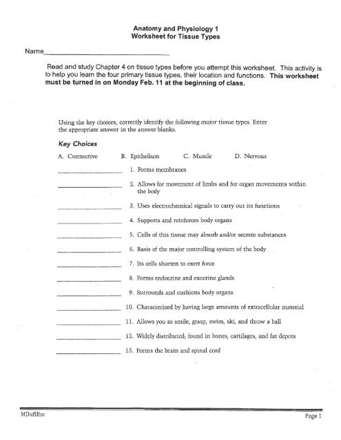 Anatomy And Physiology 1 Worksheet For Tissue Types Answers Anatomy 
