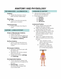 Anatomy And Physiology 2 Study Guide