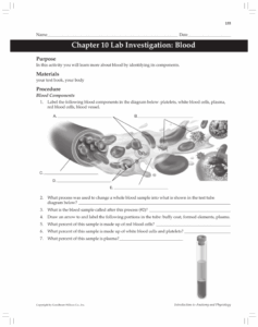 Anatomy And Physiology Blood Worksheet Anatomy Worksheets