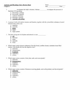 Anatomy And Physiology Chapter 2 Worksheet Answers Anatomy Worksheets