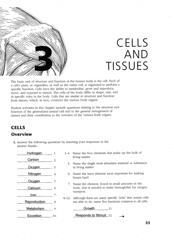 Anatomy And Physiology Chapter 3 Cells Worksheets Answers Printable 