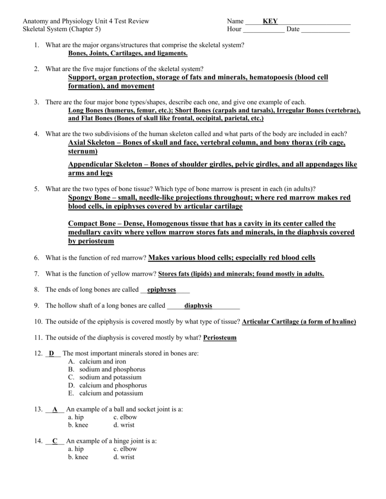 Anatomy And Physiology Chapter 4 Worksheet Answers Anatomy Worksheets