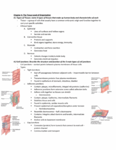 Anatomy And Physiology Chapter 4 Worksheet Answers Anatomy Worksheets