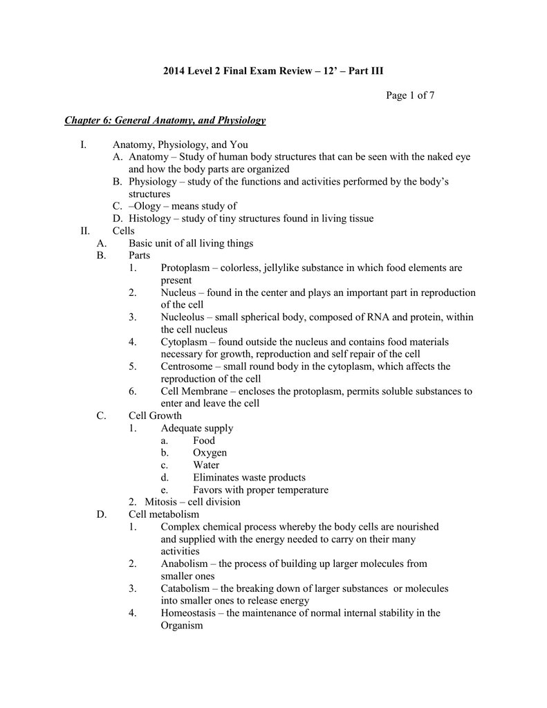 Anatomy And Physiology Chapter 6 Worksheet Answers Anatomy Worksheets