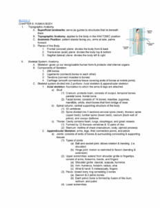 Anatomy And Physiology Chapter 6 Worksheets Answers Printable Worksheets