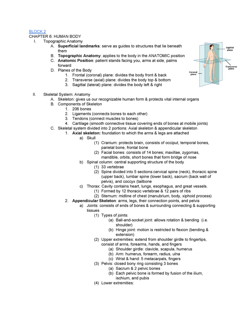 Anatomy And Physiology Chapter 6 Worksheets Answers Printable Worksheets