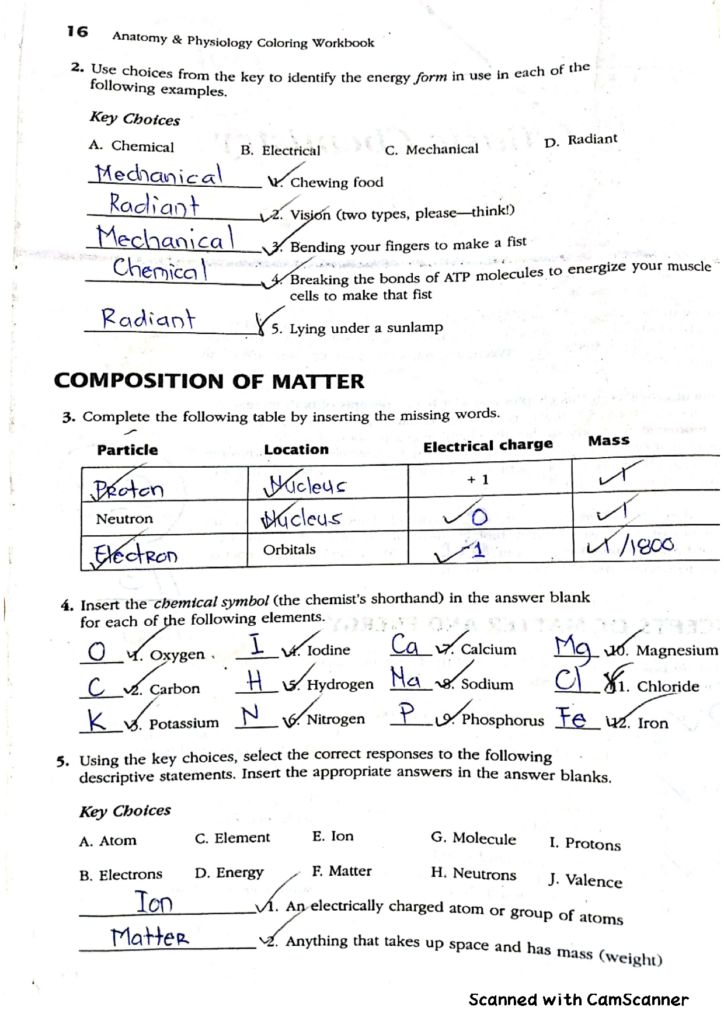 Anatomy And Physiology Coloring Workbook Answers Chapter 2 Pdf 