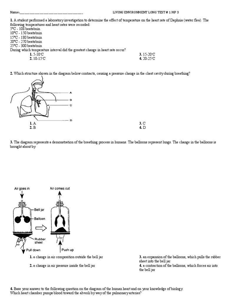 Anatomy And Physiology Genetics Of Blood Disorders Worksheet Answer Key 