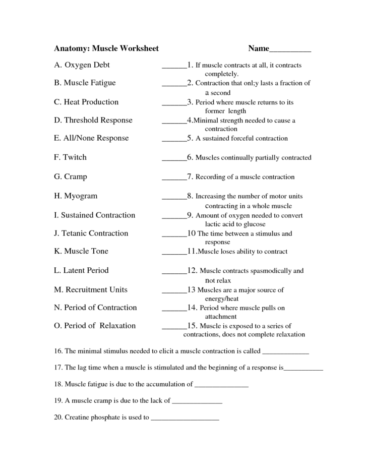 Anatomy And Physiology Lab 1 Worksheet Answers Anatomy Worksheets