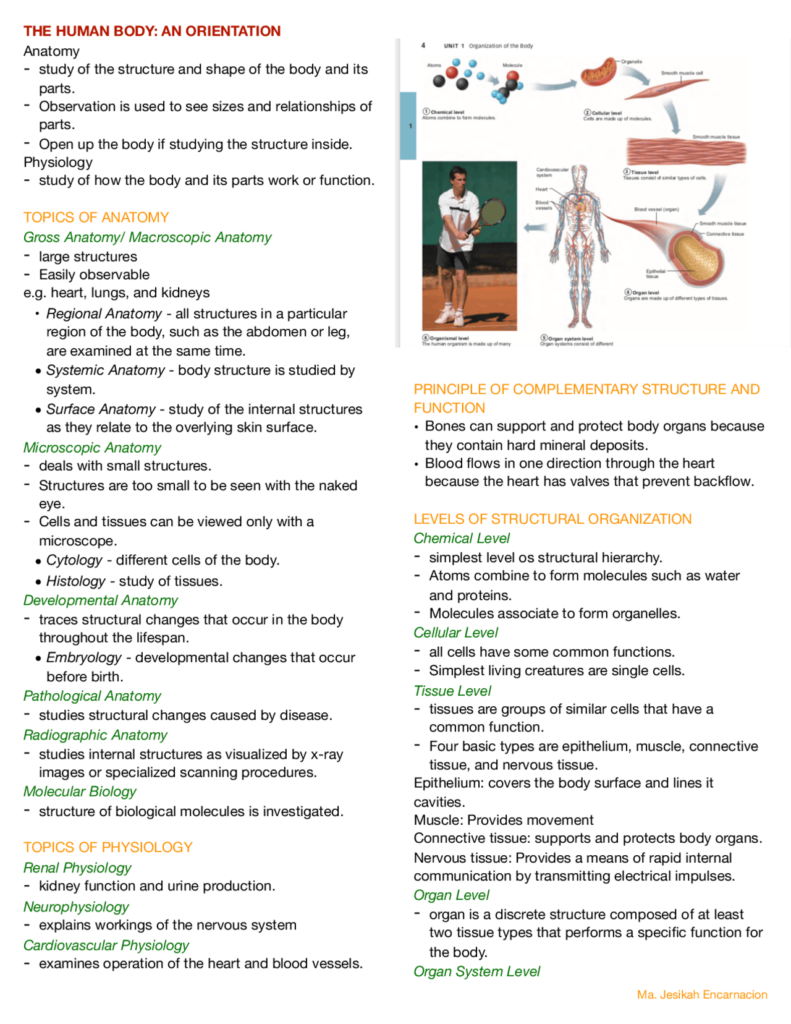 Anatomy And Physiology Notes Pdf Printable Worksheets