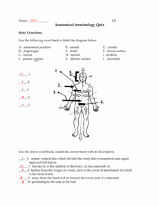 Anatomy And Physiology Printable Worksheets