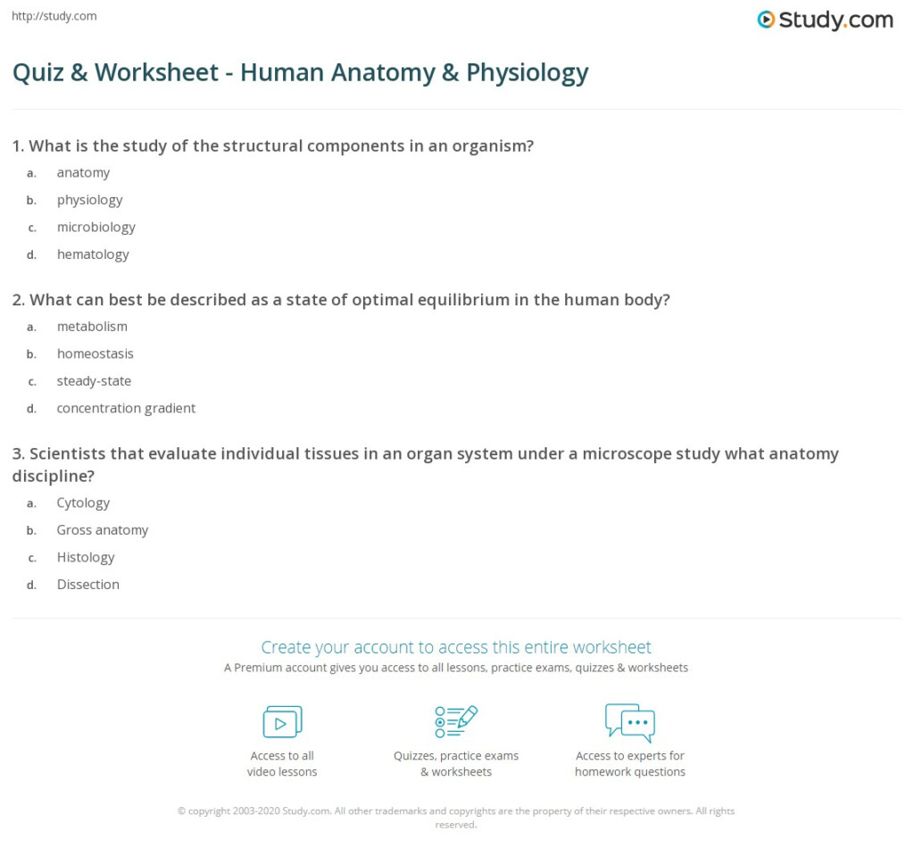 Anatomy And Physiology Worksheet Printable2