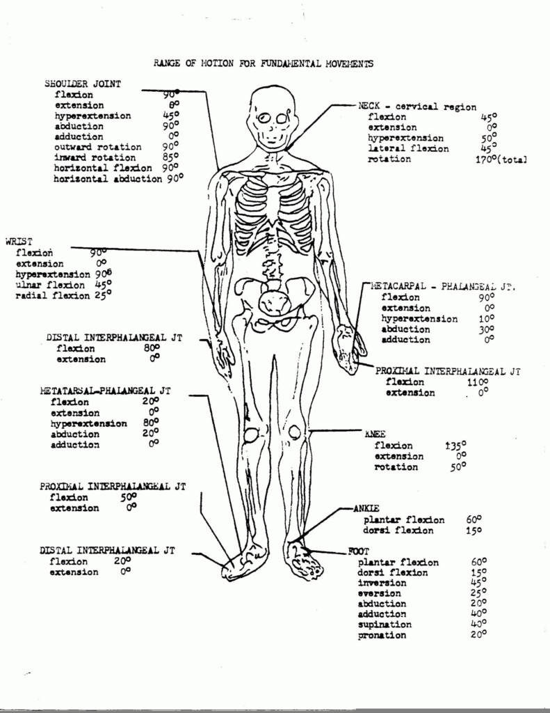 Anatomy And Physiology Worksheets