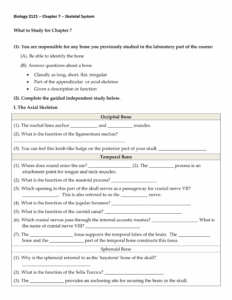 Anatomy Chapter 7 Skeletal System Worksheet Answers Anatomy Worksheets