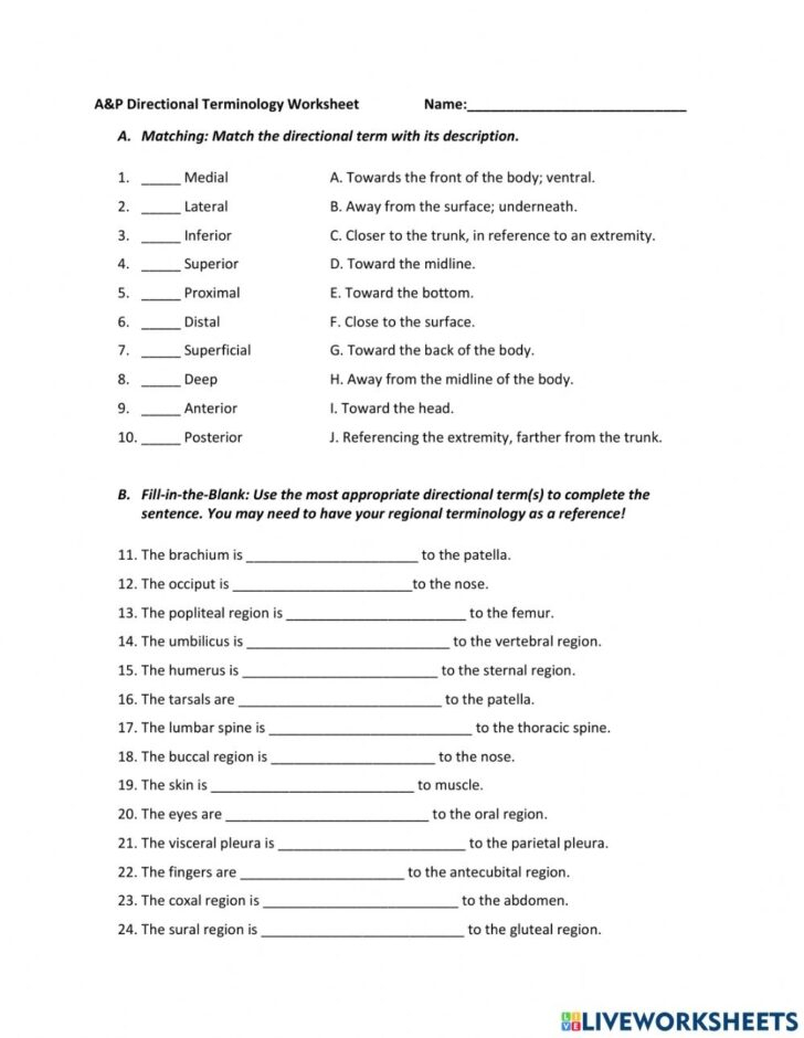 Anatomy Directional Terms Worksheets Printable Worksheets
