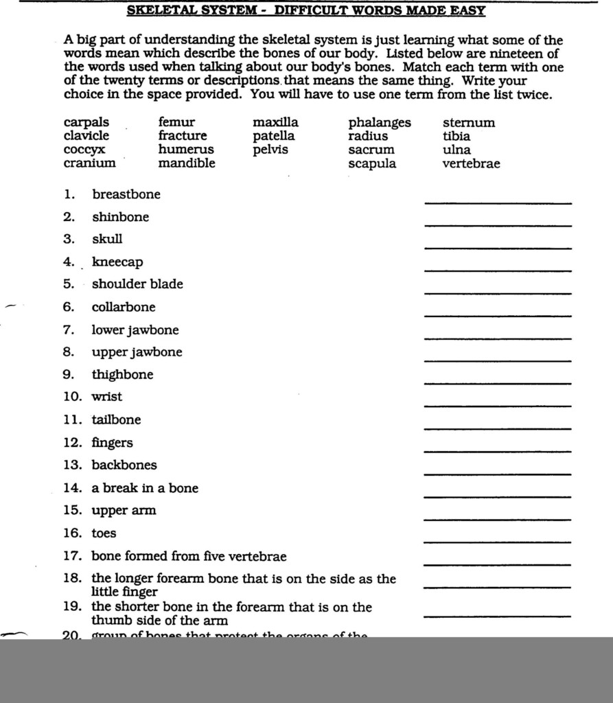 Anatomy For Beginners Lesson 1 Movement Worksheet Answers Anatomy 