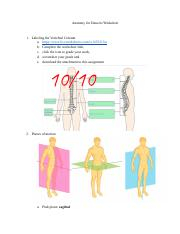 Anatomy For Dancers Worksheet pdf Anatomy For Dancers Worksheet 1 