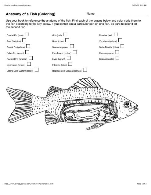 Anatomy Of A Fish Coloring Worksheet Answers Anatomy Worksheets