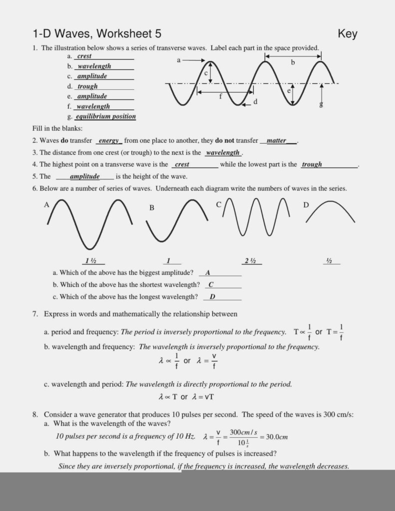 Anatomy Of A Wave Worksheet Answer Key Anatomy Worksheets