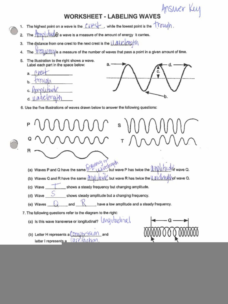 Anatomy Of A Wave Worksheet Answers Anatomy Worksheets