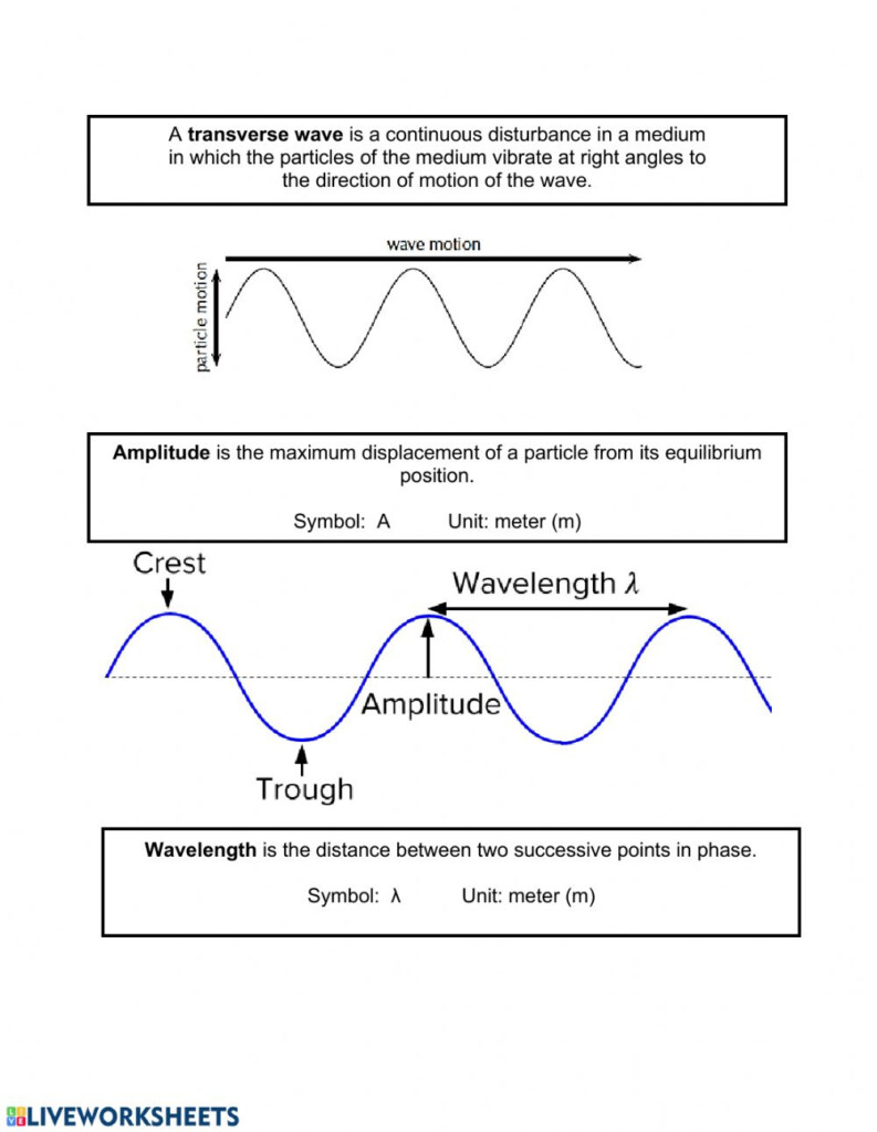 Anatomy Of A Wave Worksheet Answers Part 2 Anatomy Worksheets