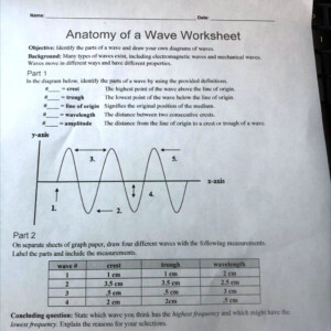 Anatomy Of A Wave Worksheets Answers Printable Worksheets