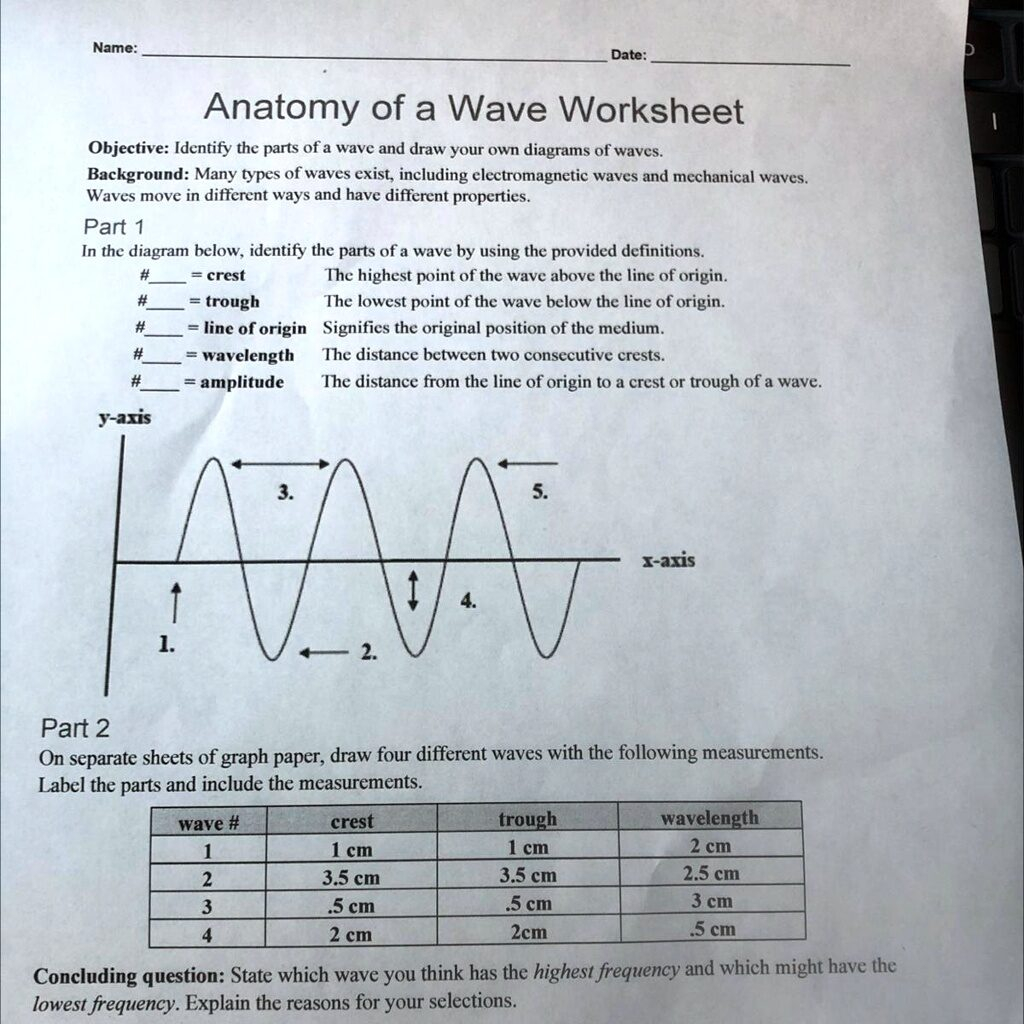 Anatomy Of A Wave Worksheets Answers Printable Worksheets