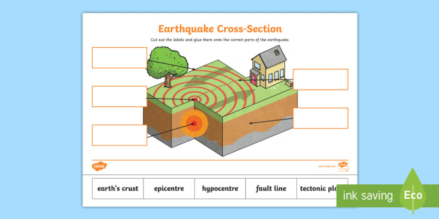 Anatomy Of An Earthquake Worksheet Anatomy Worksheets