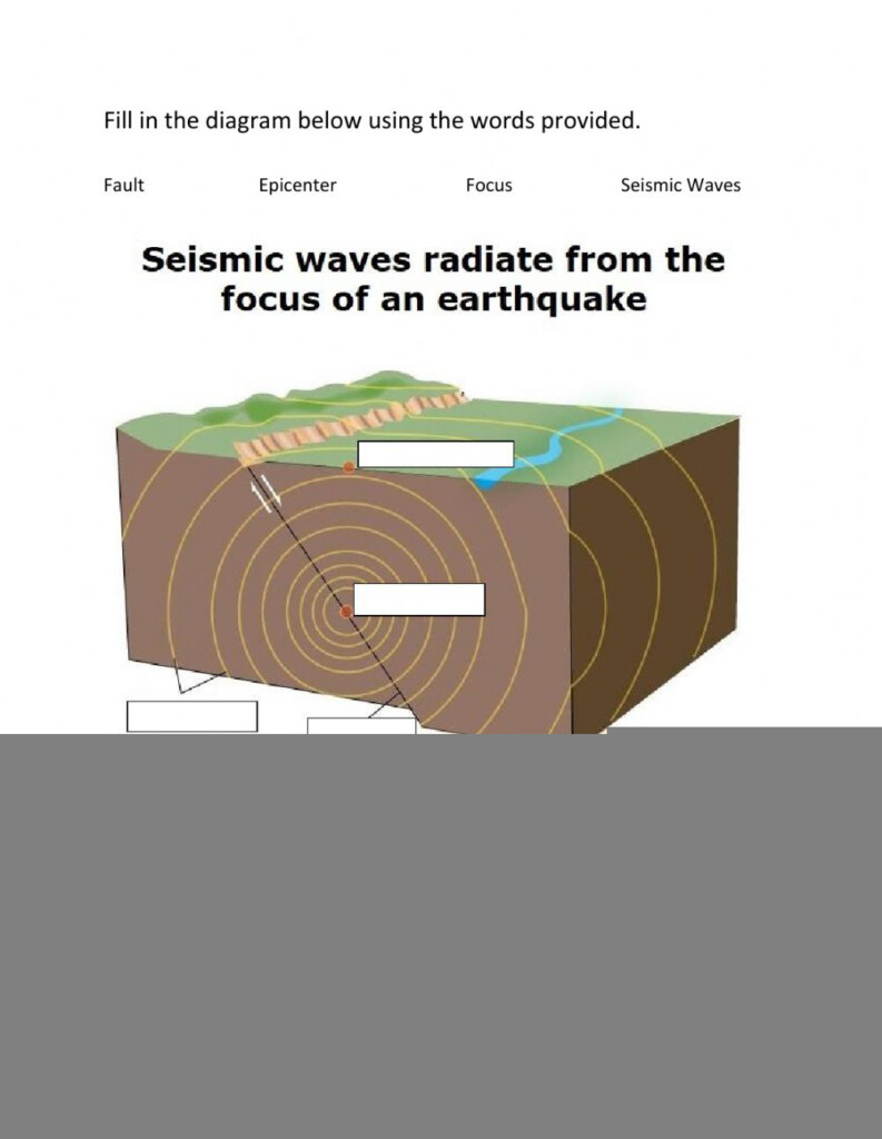 Anatomy Of An Earthquake Worksheet Anatomy Worksheets