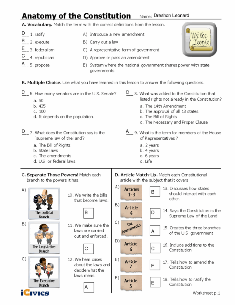 Anatomy Of Constitution Activities Fillable 1 Anatomy Of The 