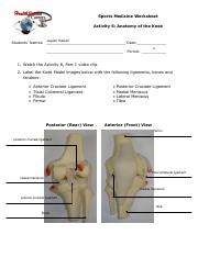 Anatomy Of Knee pdf Sports Medicine Worksheet Activity 6 Anatomy Of 