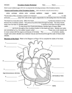 Anatomy Of The Heart Worksheet