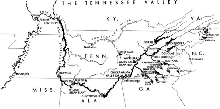 Anatomy Of The Tennessee Valley Authority Worksheet Answers Anatomy 